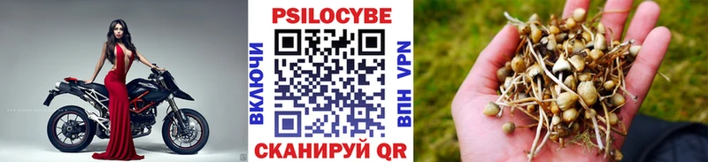 гидра сайт  Онега  Галлюциногенные грибы GOLDEN TEACHER 